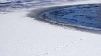 Jejak kaki terakhir dari seorang gadis berusia 4 tahun yang tenggelam di kolam Foto: Ranker