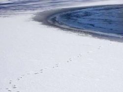 Foto Biasa Ternyata Punya Kisah Kelam hingga Menakutkan