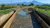 Sungai Cikeruh mengering akibat musim kemarau. Warga pun tidak bisa mengairi sawahnya akibat keringnya sungai tersebut.