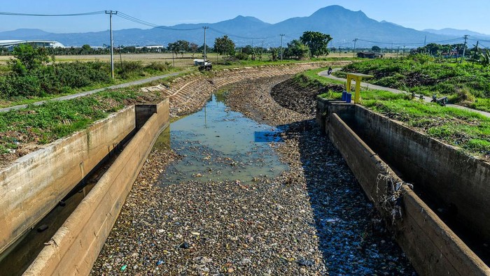 Warga mengambil rumput untuk pakan ternak di area persawahan yang mengering di Tegalluar, Kabupaten Bandung, Jawa Barat, Rabu (18/9/2024). Dinas Pertanian Kabupaten Bandung mencatat sebanyak 856 hektare area persawahan di Kabupaten Bandung terancam gagal panen yang diakibatkan mengeringnya sumber air di beberapa wilayah di Kabupaten Bandung. ANTARA FOTO/Raisan Al Farisi/agr