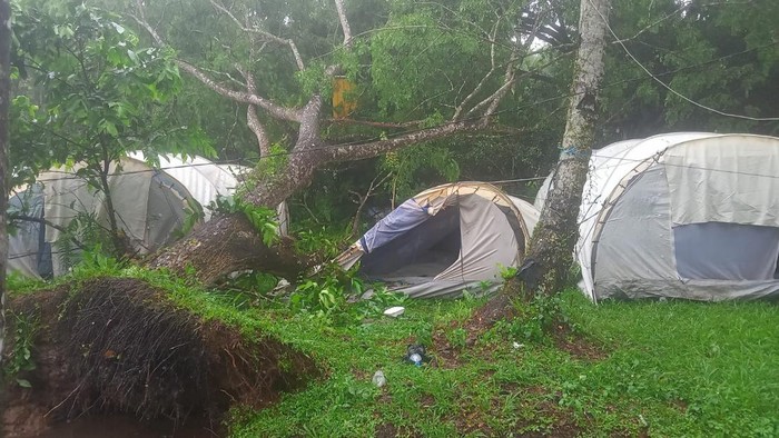 Lokasi pohon tumbang menimpa tenda relawan PMI di Kubu Raya.