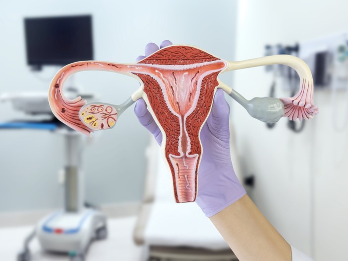 Ladies! Rutinlah Konsumsi 5 Makanan Ini Agar  Rahim Tetap Sehat