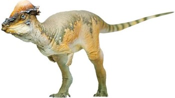 Pachycphalosaurus adalah dinosaurus yang memiliki tulang tempurung kepala yang tebal dan berat. Dinosaurus ini diduga punya kemampuan untuk menyeruduk untuk melawan predator atau saling mengadu kepala sesama jantan untuk menarik betina. Panjangnya sekitar 3 meter dan berat 450 kg. Ia muncul di film The Lost World: Jurrasic Park. Foto: Happy Hen Toys