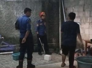 Panik Ular Masuk Pekarangan Rumah, Warga Cibinong Bogor Lapor Damkar