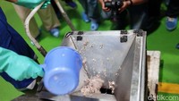 Susu ikan merupakan salah satu produk turunan dari hidrolisat protein ikan (HPI). Susu ikan bukanlah susu yang diperah dari ikan, melainkan ikan segar yang telah digiling sehingga berbentuk bubuk.