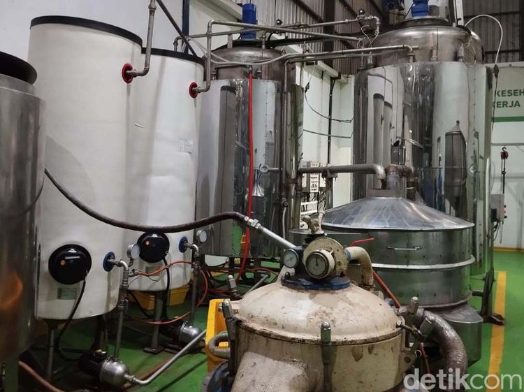 Potret Jeroan Pabrik Susu Ikan yang Digadang Masuk Program Makan Gratis Prabowo