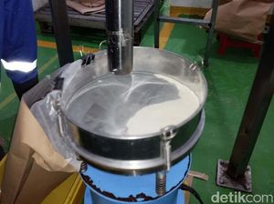 Suplai Program Makan Gratis, Nilai Ekonomi Susu Ikan Tembus Rp 70 T/Tahun