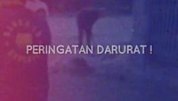 Bobby Unggah Peringatan Darurat, Apa yang Terjadi di Medan?