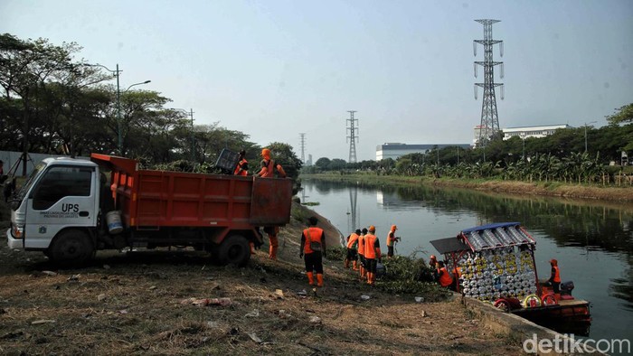 Petugas UPS Badan Air Dinas Lingkunga Hidup DKI Jakarta melakukan aksi bersih-bersih BKT di Cakung. Mereka membersihkan tanaman eceng gondok.
