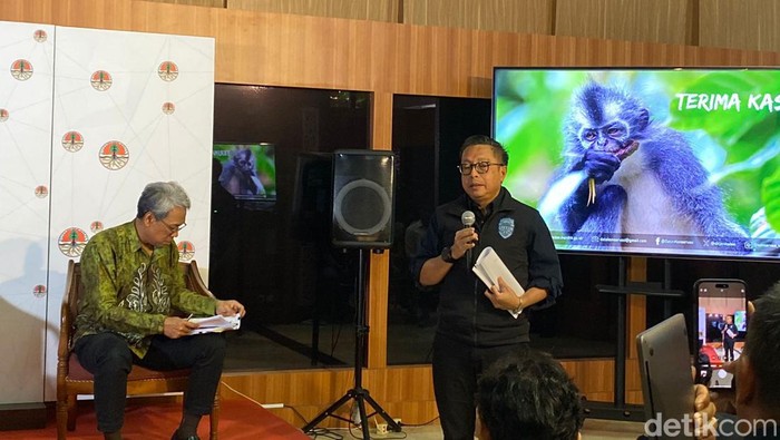 Dirjen Penegakan Hukum (Gakkum) KLHK Rasio Ridho Sani. Foto: Wildan/detikcom