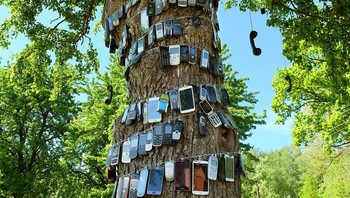 Pohon Telepon, Lithuania Foto: Boredpanda