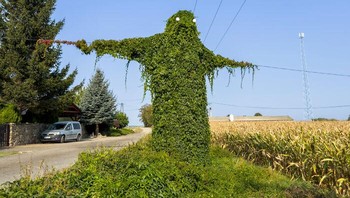 Monster Hijau di Polandia. Foto: Boredpanda