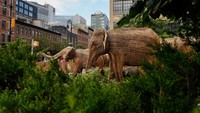 Penyelenggara instalasi, Tarsh Thekaekara mengatakan, mereka berkeliling dunia untuk menginspirasi orang agar hidup lebih baik dengan segala bentuk alam di sekitar mereka. Thekaekara melanjutkan dengan mengatakan bahwa pameran tersebut dapat berfungsi sebagai unggulan untuk hidup bersama yang mendukung di antara berbagai spesies.