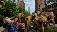 Gajah-gajah itu sendiri tampaknya terbuat dari jerami, tetapi dikumpulkan dari gulma invasif asli yang disebut Lantana. Dan mereka memberi pengunjung momen kelegaan. Gajah-gajah itu akan tetap berada di distrik Meatpacking New York hingga 20 Oktober.