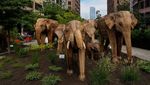 Migrasi Besar-besaran Gajah India Sampai di New York, Soroti Isu Lingkungan