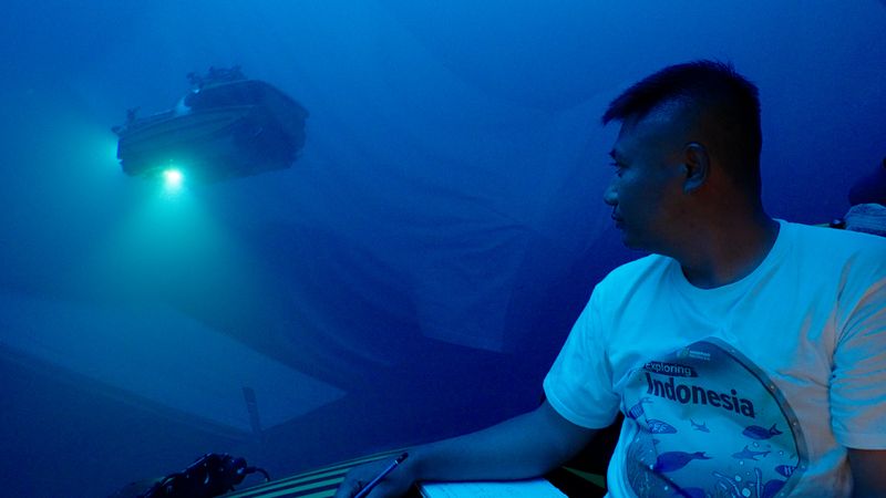 Misi penjelajahan laut Indonesia oleh kapal OceanXplorer milik OceanX akhirnya rampung. Sejumlah temuan menarik dari misi ini di antaranya adalah keberadaan lima gunung bawa laut di perairan Indonesia.