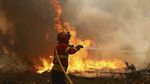 Perjuangan Damkar Padamkan Kebakaran Hutan di Portugal