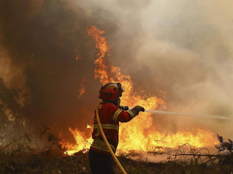 Perjuangan Damkar Padamkan Kebakaran Hutan di Portugal