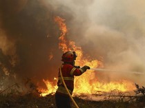 Perjuangan Damkar Padamkan Kebakaran Hutan di Portugal