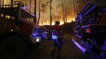Perjuangan Damkar Padamkan Kebakaran Hutan di Portugal