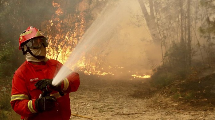 Perjuangan Damkar Padamkan Kebakaran Hutan di Portugal Kebakaran melahap hutan di Portugal. Ini potret para petugas pemadam kebakaran saat berjuang melawan kobaran api kebakaran hutan tersebut.