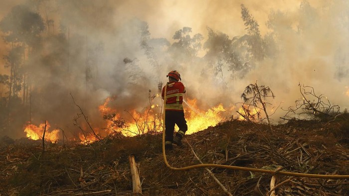 Kebakaran melahap hutan di Portugal. Ini potret para petugas pemadam kebakaran saat berjuang melawan kobaran api kebakaran hutan tersebut.