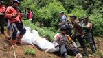 Penampakan Polisi Menggerebek Ladang Ganja di Lumajang
