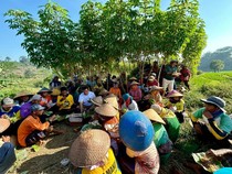 Belanja Masalah Petani Batang, Cagub Ahmad Luthfi Siap Berikan Solusi