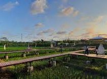 7 Desa Wisata di Kebumen yang Cocok Dikunjungi Bersama Keluarga