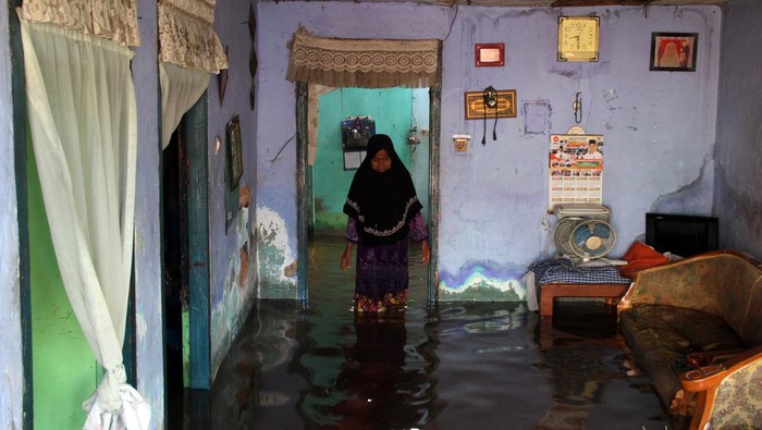 Banjir Pasang Air Laut Rendam Dumai, Sekolah Diliburkan Seorang warga berada didalam rumahnya yang terendam banjir pasang air laut (rob) di Kota Dumai, Riau, Jumat (20/9/2024). Puncak pasang air laut setinggi 3.61 meter pada pagi hari ini ditambah dengan tidak berfungsinya pompa dan pintu air menyebabkan banjir rob meluas merendam fasilitas umum serta permukiman warga, sehingga sejumlah sekolah terpaksa meliburkan siswanya, pertokoan tutup dan aktivitas warga terganggu. ANTARA FOTO/Aswaddy Hamid/foc.