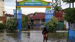 Banjir Pasang Air Laut Rendam Dumai, Sekolah Diliburkan