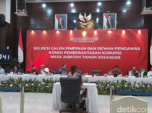 Kasus Firli hingga Dugaan Korupsi di Lapas dari Kaca Mata Cadewas KPK