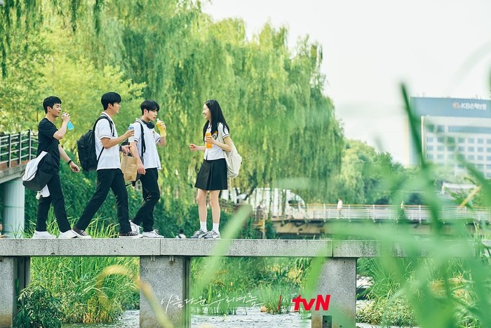 Drama Korea Our Beautiful Summer