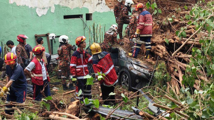 Dua turis China tewas tertimpa pohon tumbang