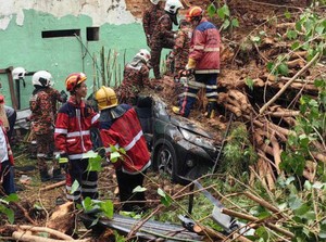 Liburan ke Penang, Ayah-Anak Tewas Tertimpa Pohon Tumbang