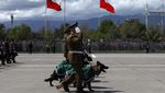 Gemasnya Anjing-anjing Ikut Parade Militer Chile
