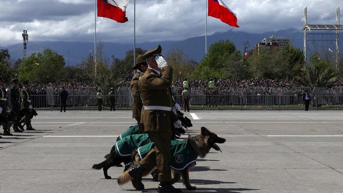 Chilean police officers march with puppies that are part of a new generation of police dogs during the annual military parade, in Santiago, Chile September 19, 2024. REUTERS/Sofia Yanjari