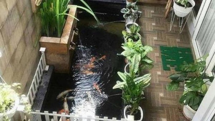 ide kolam ikan.