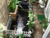 6 Hal yang Wajib Kamu Pertimbangkan Sebelum Membuat Kolam Ikan