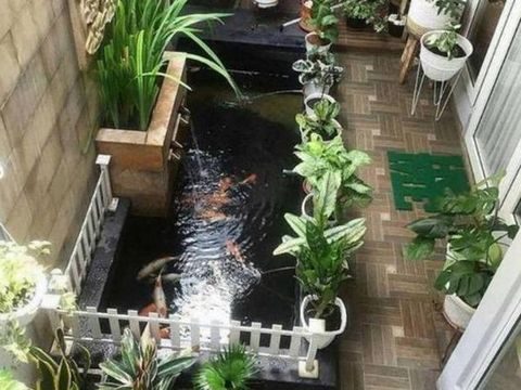 ide kolam ikan.