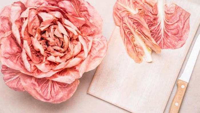 Radicchio Italian salad.Pink radicchio del Veneto copy space.