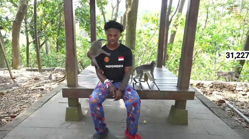 Momen monyet curi mikrofon IShowSpeed.