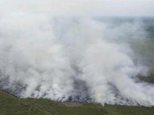 Bakar Lahan Tebu Jelang Panen Jadi Biang Kerok Karhutla di Sumsel
