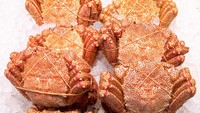 Ditangkap dari lautan Pasifik, kepiting berbulu halus ini dikenal dengan nama Hokkaido Hairy Crab. Di Jepang, kepiting ini tak butuh banyak bumbu untuk mengeluarkan rasa alaminya. Foto: TasteAtlas