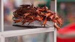 10 Kepiting Terenak di Dunia, Bukan Alaskan King Crab!