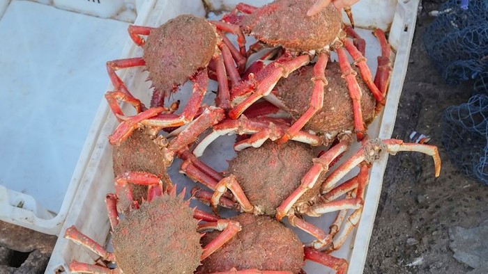 10 Kepiting Terenak di Dunia, Bukan Alaskan King Crab!