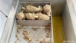 Maknyus! Bakso Rusuk dan Mie Ayam Murah Meriah Favorit Anak UI
