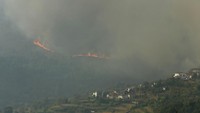 Kebakaran membakar hutan di dekat Castro Daire, sebuah kota di salah satu daerah di Portugal utara, Kamis (19/9/2024).