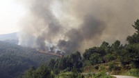 Asap akibat kebakaran hutan tersebut terlihat di sejumlah titik.