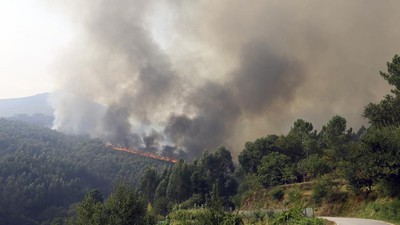 Penampakan Kepulan Asap Kebakaran Hutan di Portugal